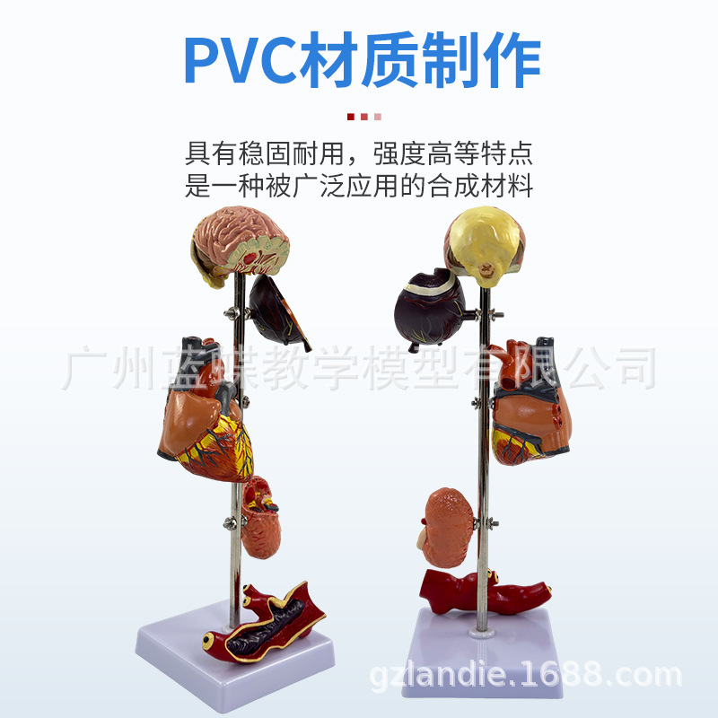 ҽѧ����ģ������ģ������ģ����ģ������������bingģ��