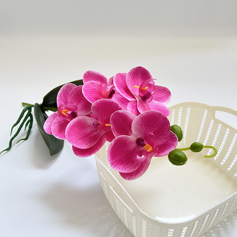 로즈 레드 (높이 37*폭 14CM)