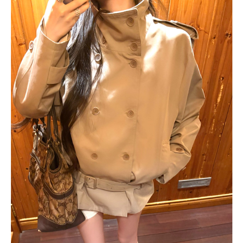 Ouge Soft Silhouette Lake Gray Loose Stand Collar Short Windbreaker Jacket for Women Autum New Product 2025 Can Be Shipped on Behalf of Others
