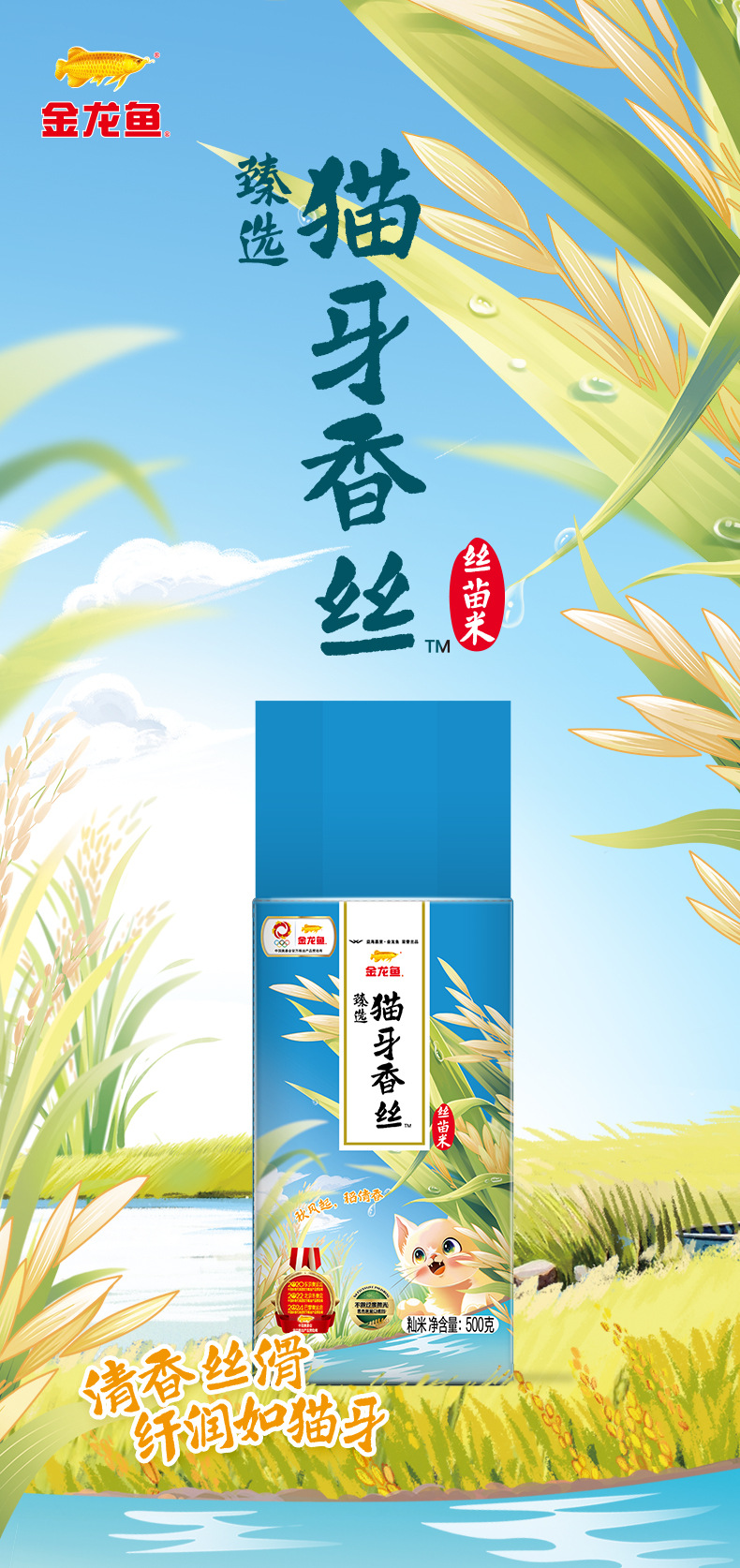 231025猫牙香丝文描_01