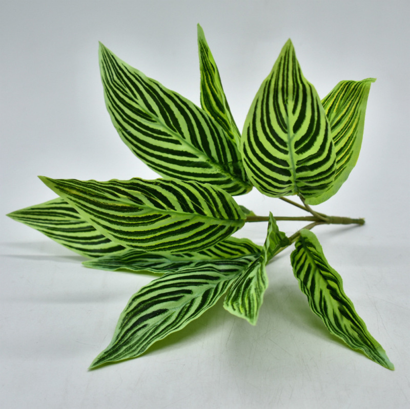メーカー直販シミュレーション植物プラスチック造花植物壁配材ゴム手触り葉亀背葉緑羅|undefined