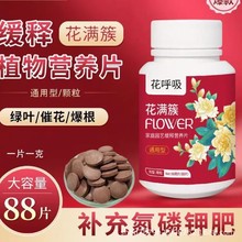 �S��ֱ�Nֲ�ﾏጷ�Ƭ�Gֲ���ߠI�B��Ⱦ���ͨ�÷��ϑ��˷Nֲ�䷽