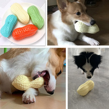���ﹷ�������ҧĥ���l����TPR���� �»�����С��Ȯ�␞�����
