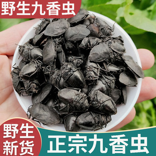 �A��Ʒ1����] �����x С̖ ��̖�y؛ ���l Ҏ��