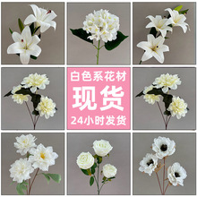 ��c���滨�׾Gɫϵ���Ļ�Y�üٻ��b� ����Ī�λ��@֮���ٻ�