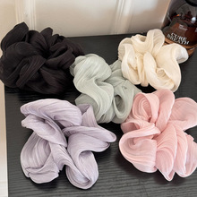 新款高级布艺大肠发圈韩国网红纹理珠光时尚头花显头小丸子发绳女