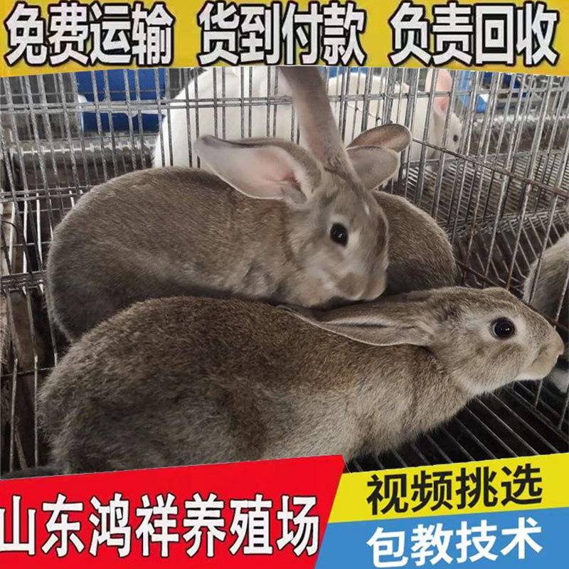 b_1260965202107081702319914.jp