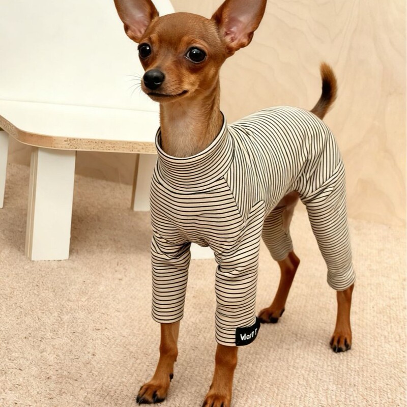Dog Autumn and Winter Warm Turtleneck Neck-Protecting Four-Legged Extended Full-Body Base Layer Pet Belly-Covering Thermal Jumpsuit Teddy Dog Autumn and Winter Warm Turtleneck Neck-Protecting Four-Legged Extended Full-Body Base Layer Pet Belly-Covering Thermal Jumpsuit Teddy