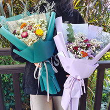 ��Ʒ�����ɻ������M���� ���տ��滨��Ů�����նY�� ��Ů��֮�