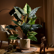 ���͟Ꭷ�٘���������Gֲ���҃ȿ͏d��������쾰���^�b[�