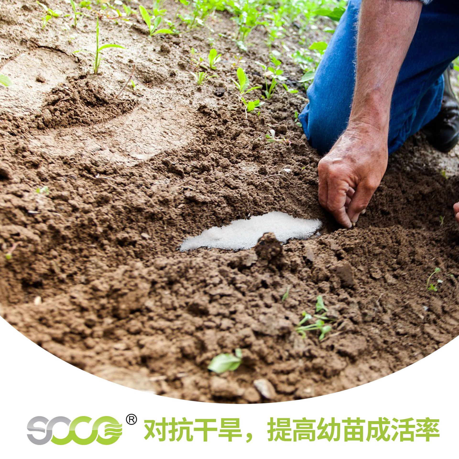 现货直发抗旱保水剂农用大田农作物节水保肥 土壤保湿凝胶保水剂