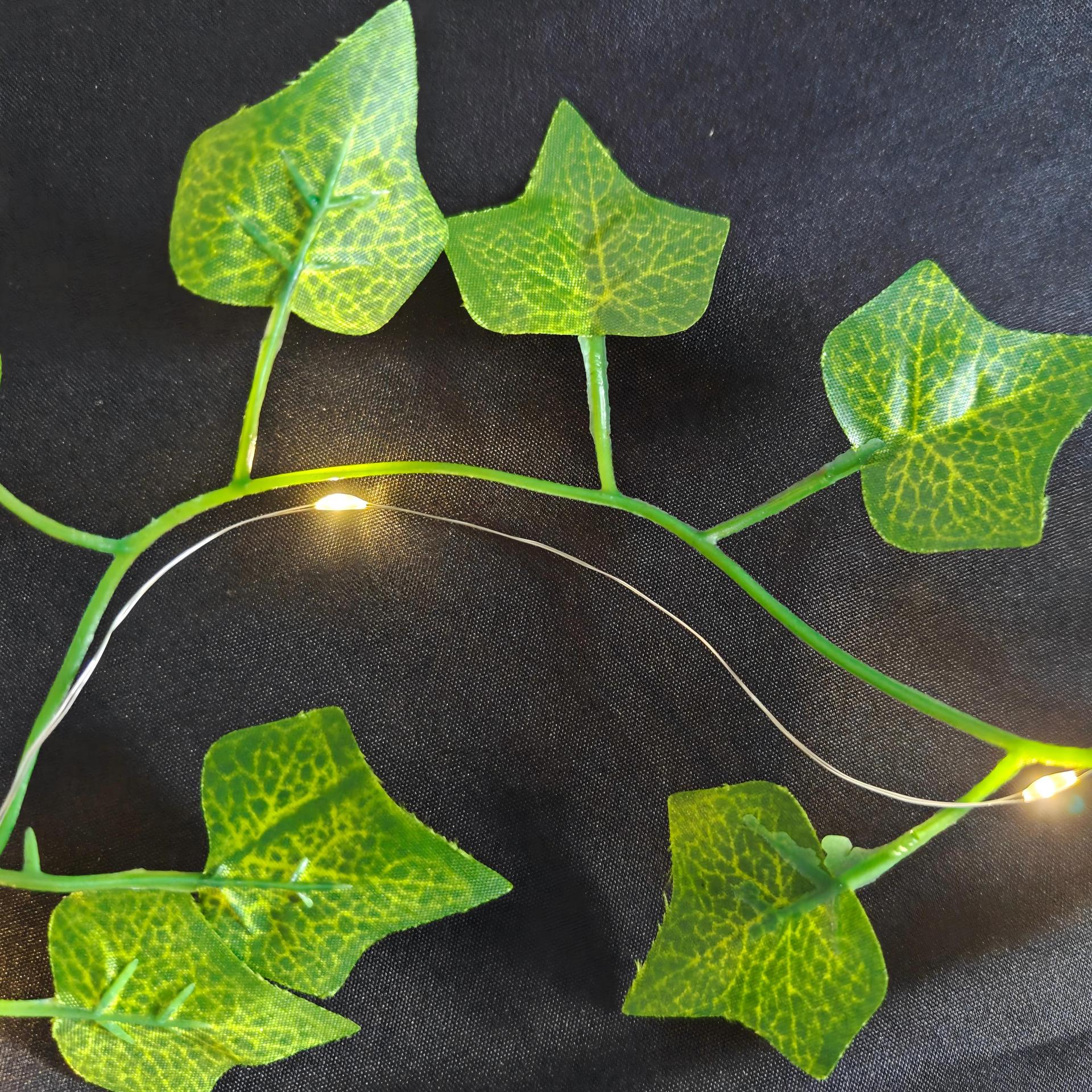 등나무 2.2m 램프 2셀 배터리 박스