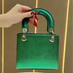 新款高级感蛇纹马卡龙手拎包派对宴会晚宴包通勤包奢华斜挎手提包