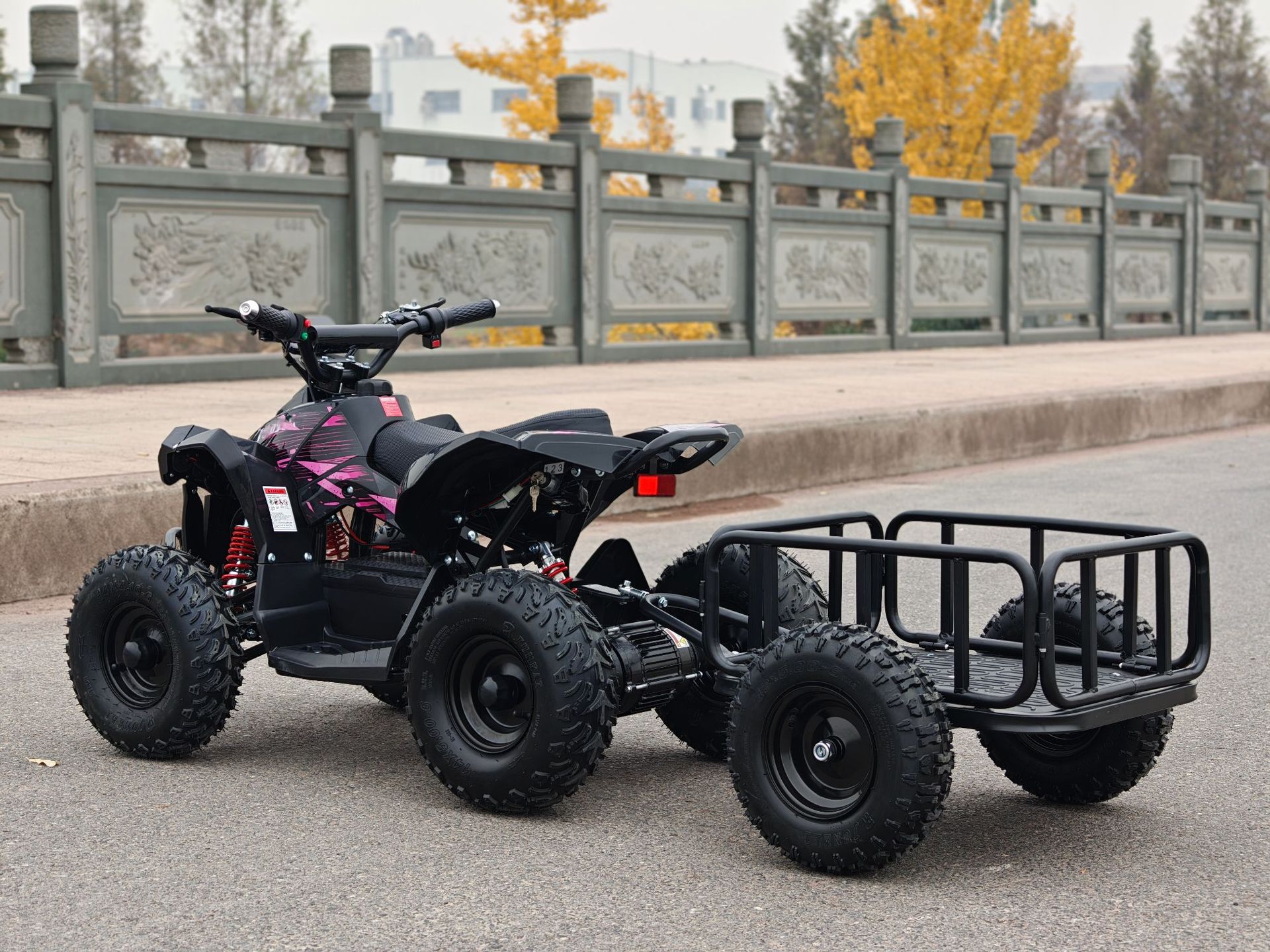 Small Overlord ATV Beach Motorcycle All-Terrain Vehicle Electric Scooter