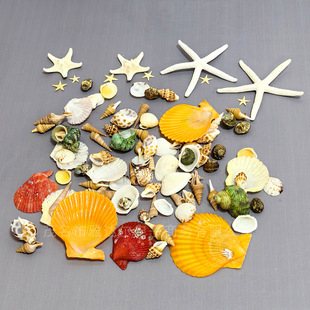 ��Ȼؐ������С����С���ݹ�ˇƷ�b��ֹ�diy΢���^���ϔ[�����l