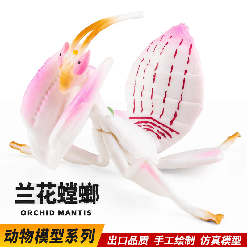 Enlightenment Science and Education Teaching Aids, Simulated Insect Toys, Animal Models, Orchid, Mantis, Butterfly, Cricket, Cicada, Field Cricket, Dragonfly