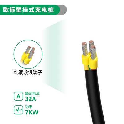 Elektrikli avtomobil şarj stansiyaları – 7Kw Tesla Byd Ac7Kw/32A