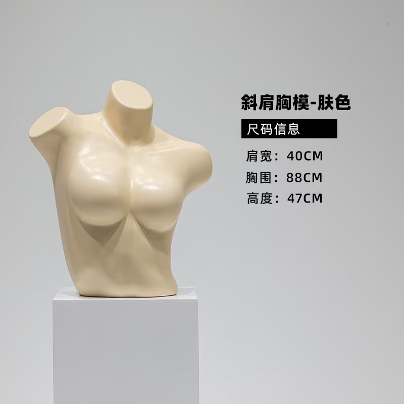 여성 경사 어깨 가슴 모델 피부색