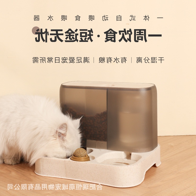 Dogs and cats are not wet and flowing