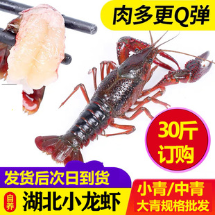 С���r�r���ش󝓽���ˮ�r234�XС���мt���r���rˮ�aƷ���l����