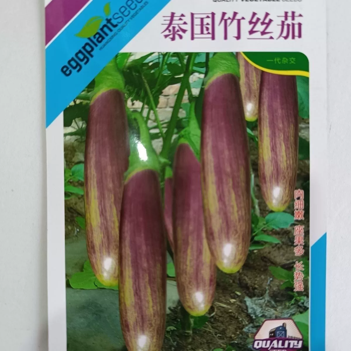 Таиланд Бамбук Растворенные Семена Баклажан Кермит Семена Фиолетовый Баклажан Круглые Цветы Баклажан Семена Овощных Культур