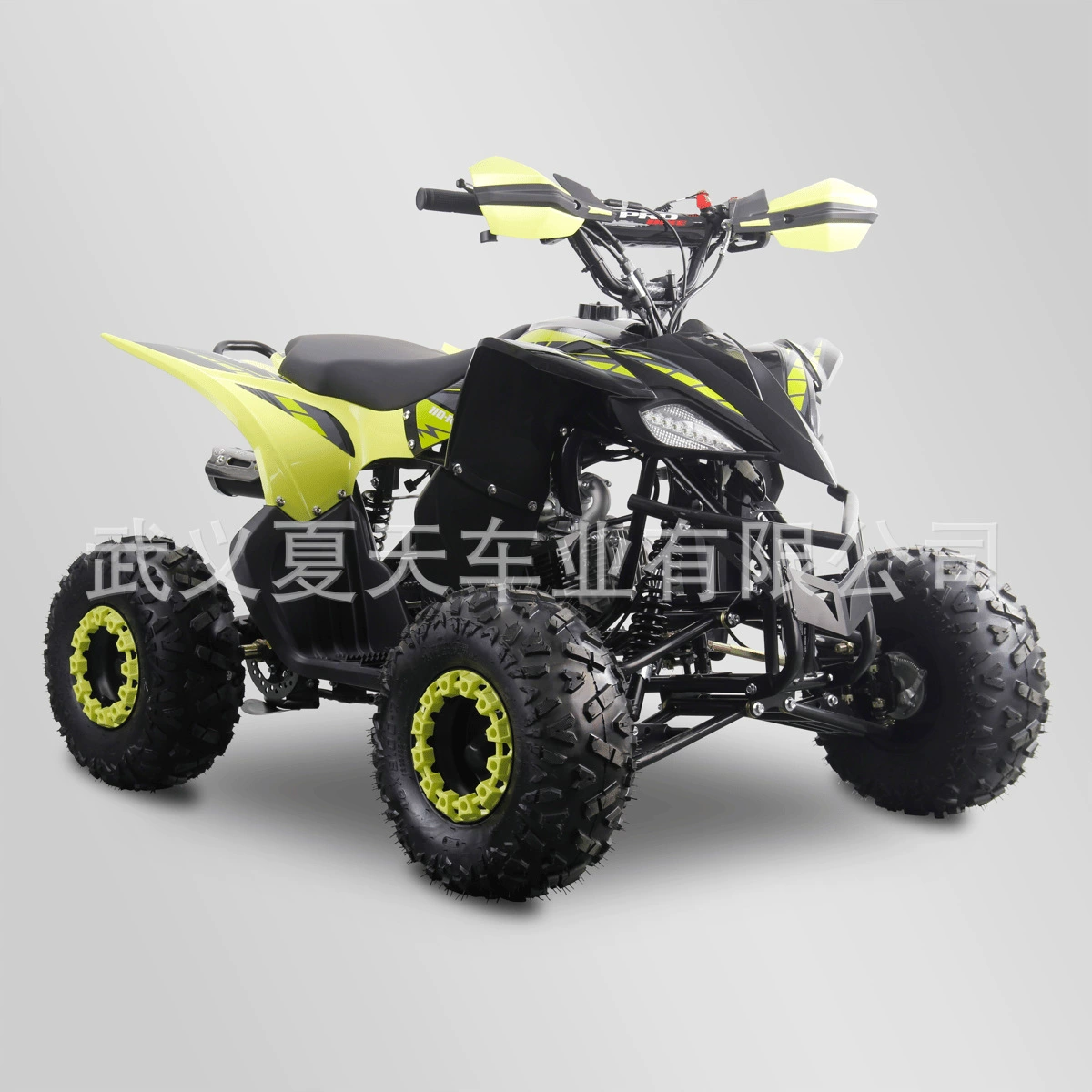 Завод производит ATV пляжная машина 125cc четырехколесный внедорожник пляжное транспортное средство может выпускать большой и малый объем внедорожников