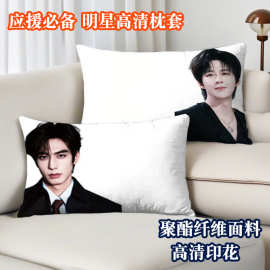 刘宇宁单人枕套宋威龙高清印花明星周边学生宿舍家用枕头套48*74