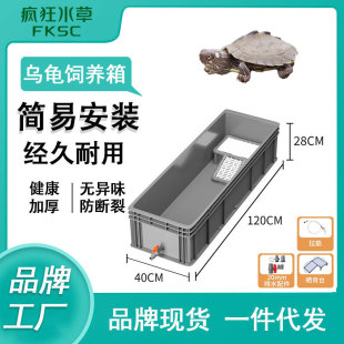 Crazy Aquatic Turtle Special Breeding Plastic Turnover Box with Terrace Side Row Household Ecological Turtle Breeding Box