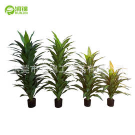 跨境热销仿真巴西铁手感大叶巴西木绿植盆栽室内装饰迷你香龙血树