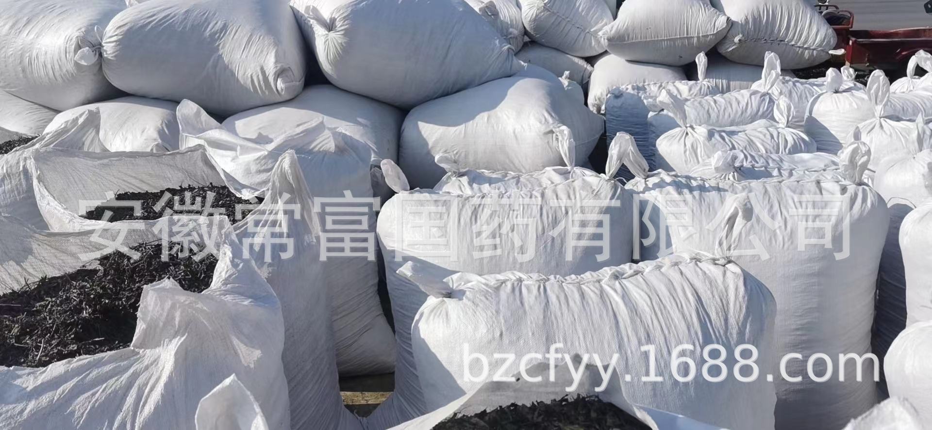 Chuan Xin Lian Andrographis Leaf Dried Herb 500g Bulk Culinary Herbal Supply quality and texture