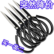 P䓼ò˵๦ܼӺɫ^ÿph