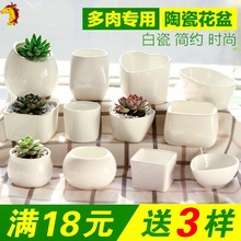 多肉花盆白色陶瓷盆簡約長方形肉肉植物小花盆白瓷創意綠植花盆器