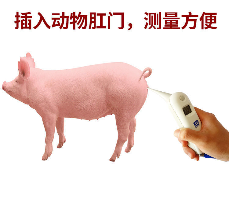 6e5504aa-56e0-4046-b7b8-963f6d8d233b.jpe