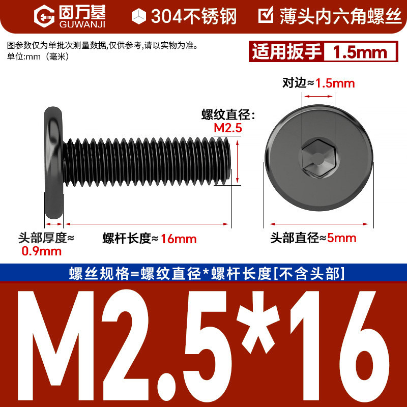304 black m2.5*16