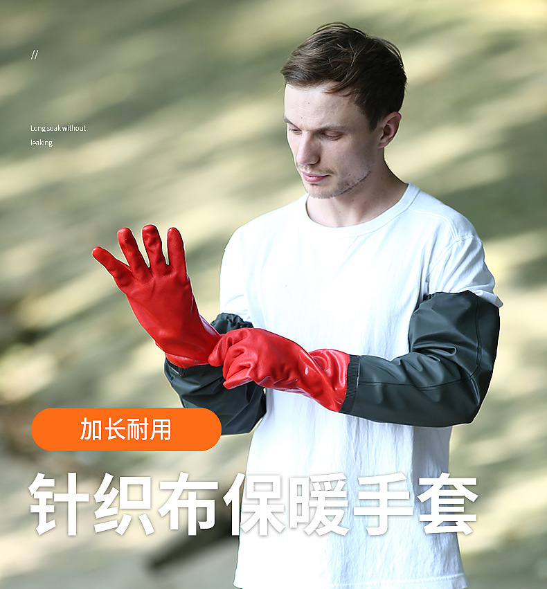 11036012172_1228667374