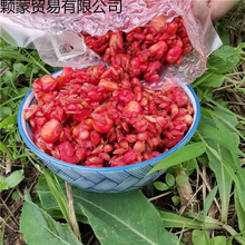 �ؑc������ឹ����C���D���a�~���~�~Ұ����״�C����Ư��តS