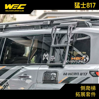 Roof rack, side ladder, side window storage