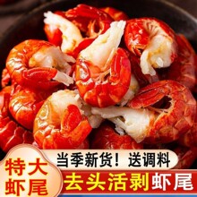 �����{�ϡ���̖���rβ�o�������С���rβ�r���ك����rβ��S���]