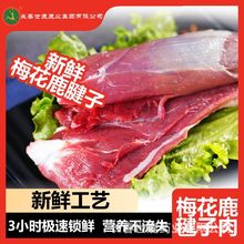 ��¹�|��÷��¹������ ������r�ߵ��׵�֬ ���������\¹�����l