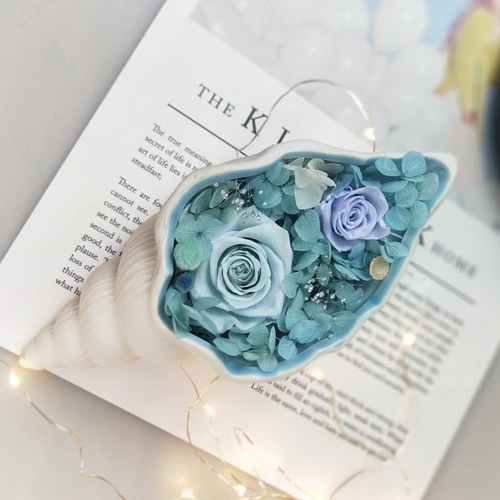 Pointed small conch ceramic blue ocean style immortal flower diy flower ornaments container jewelry storage ashtray