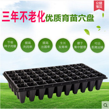 ���l�I�B���Ӻ������߲˶�������PѨ�P�����P�Nֲ�P�N����