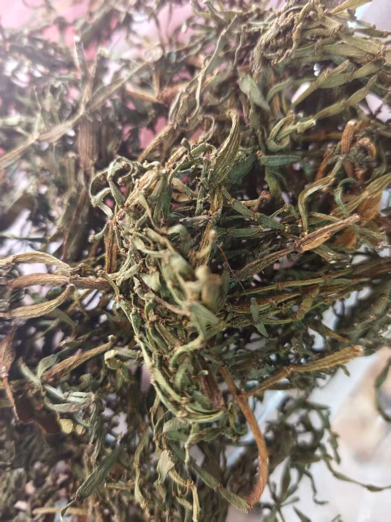 Pang Xie Jiao (Viscum articulatum) — Wild Yunnan Ancient-Tree Herbal Tea Twig, 100g overview