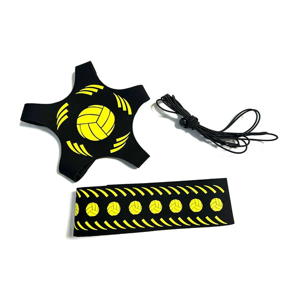 Volleyball with 5 claws printed