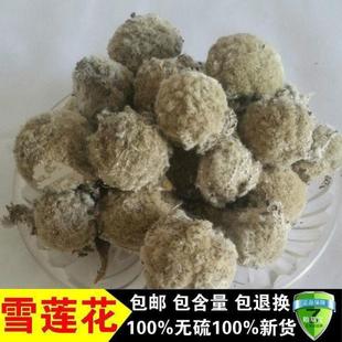 �a�ز�ѩɏѩɏ�� ��� �L���� 500�˰��]��؛��؛��؛��؛