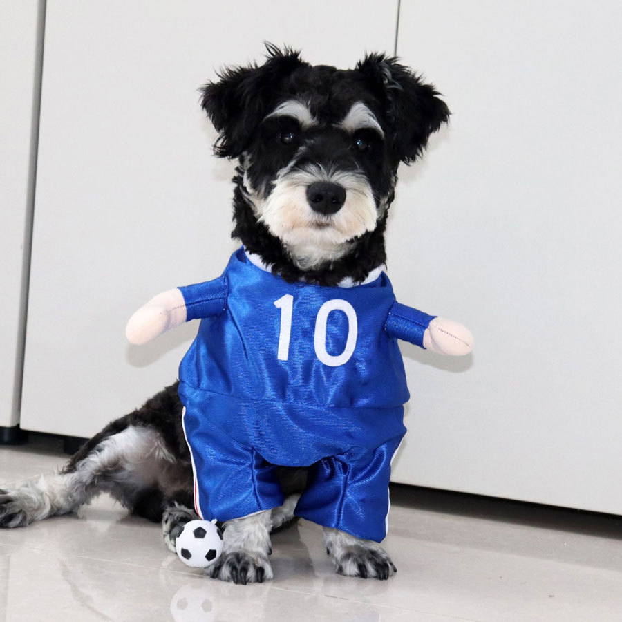 uniforme de futbol azul