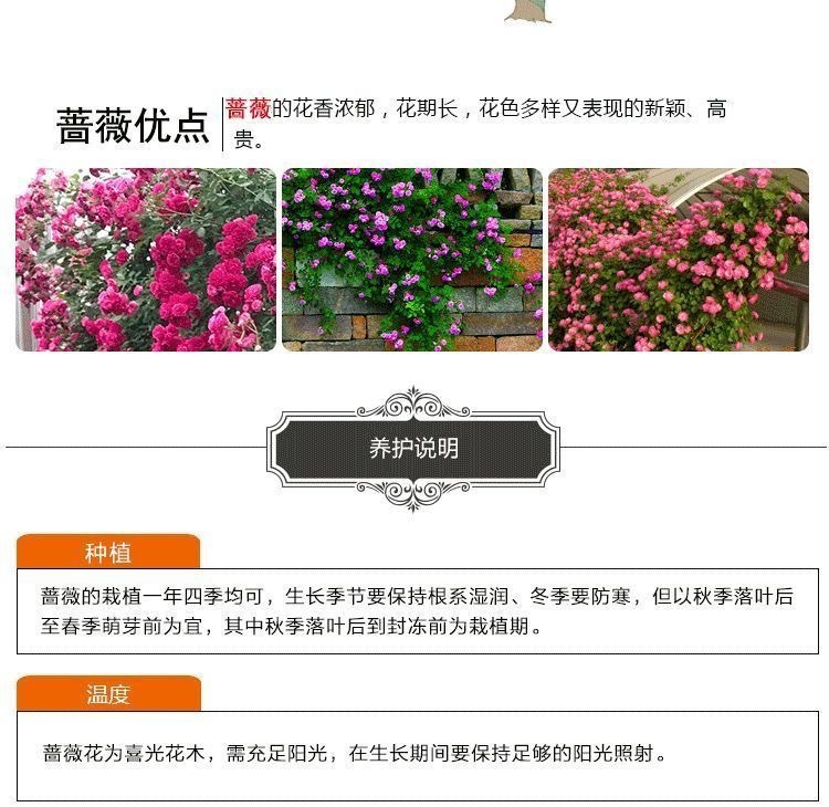 0af34482-49fb-4905-931d-0dcf96f0d9c1.jpe