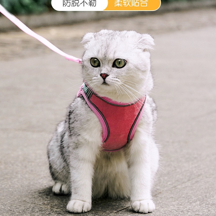 Verano transpirable PET pecho Correa nueva Suede perro Correa perro reflectante perro caminar cuerda traje