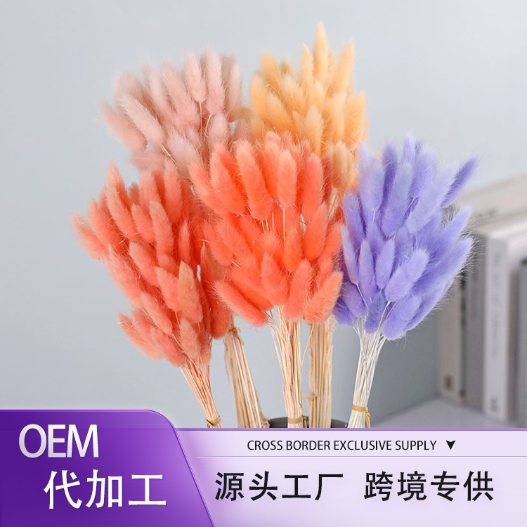La flor eterna de la flor de la cola de conejo hierba seca 60 piezas al por mayor Dogtail hierba seca ramo de flores decoración DIY conejo hierba de la cola