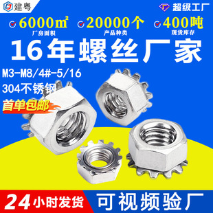 304���P���ĸM3�����X����K����ñM4�������X��������K����ĸM6
