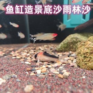 �Ꭷ����ɳ�~�׵�ɰ���������쾰��tɳ�غ���ɳ�����߲ʴ�������